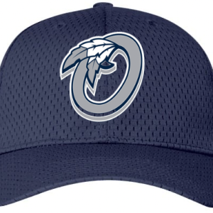 Originals Flex-Fit Gameday Hat